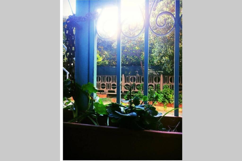 Cosy Studio Flat On The Seaside Apartamento Lido di Ostia Exterior foto